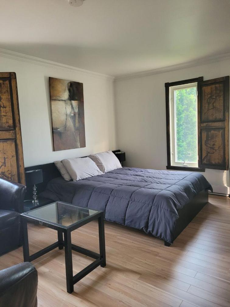 Le Petit Manoir Spa Et Vue Sur Riviere St Maurice Grandes Piles Εξωτερικό φωτογραφία